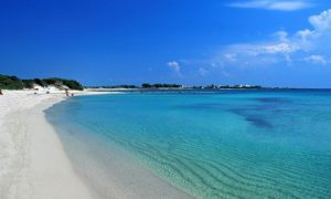 Punta Prosciutto Salento Una Delle Spiagge Più Belle Del