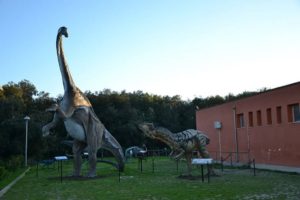 il museo di storia naturale a Calimera nel Salento