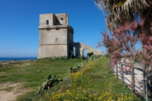 Torre Colimena, una graziosa marina a pochi km. da Avetrana e Manduria