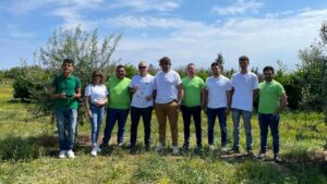 OLIVAMI salviamo gli ulivi del Salento