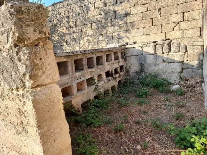 arte dell'allevamento delle api in Salento arte dell'allevamento delle api in Salento